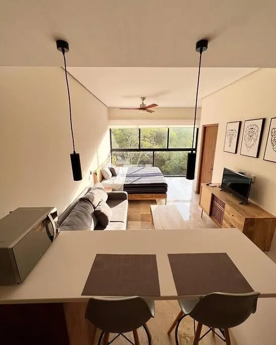 Loft, Gym, Pool, Internet Zama Apartment Tulum Mexico